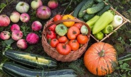 朝堂吃瓜免费阅读,宫廷秘闻，吃瓜群众免费探秘